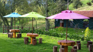 Carpas Bogotá-Carpas para eventos-